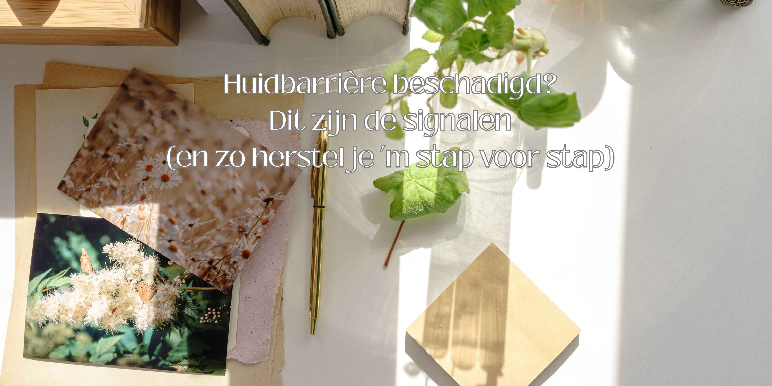 Huid Barriére , Ik SKin Perfection , Blog 